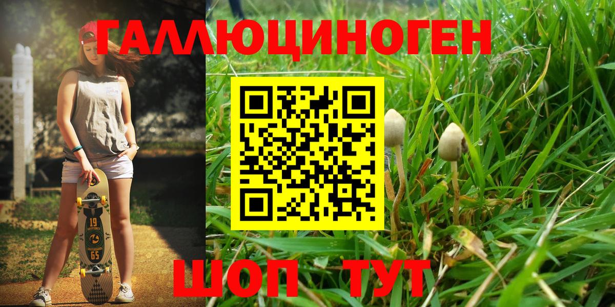 Псилоцибиновые грибы MAGIC MUSHROOMS  сколько стоит  Северобайкальск  Вход с VPN 