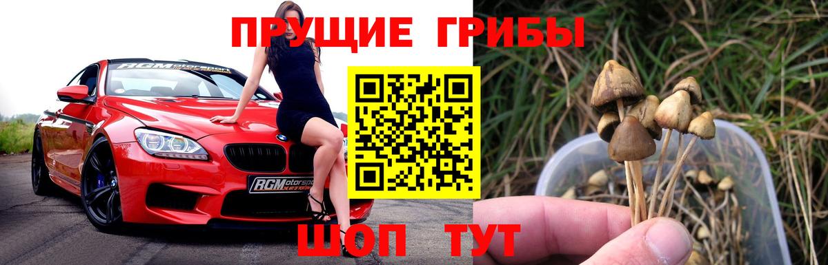 Псилоцибиновые грибы ЛСД Северобайкальск